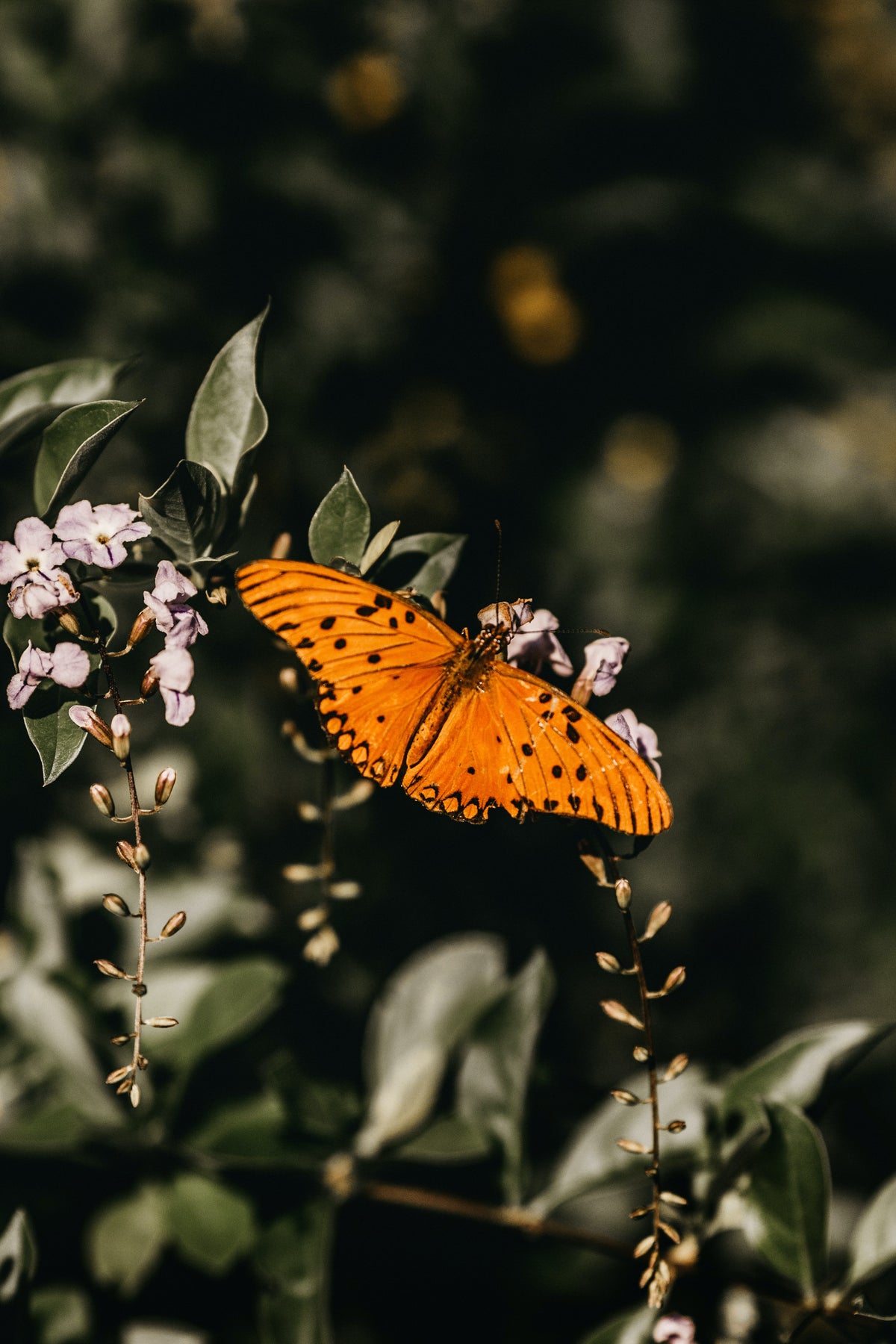 Transformation at Any Age- An Interview