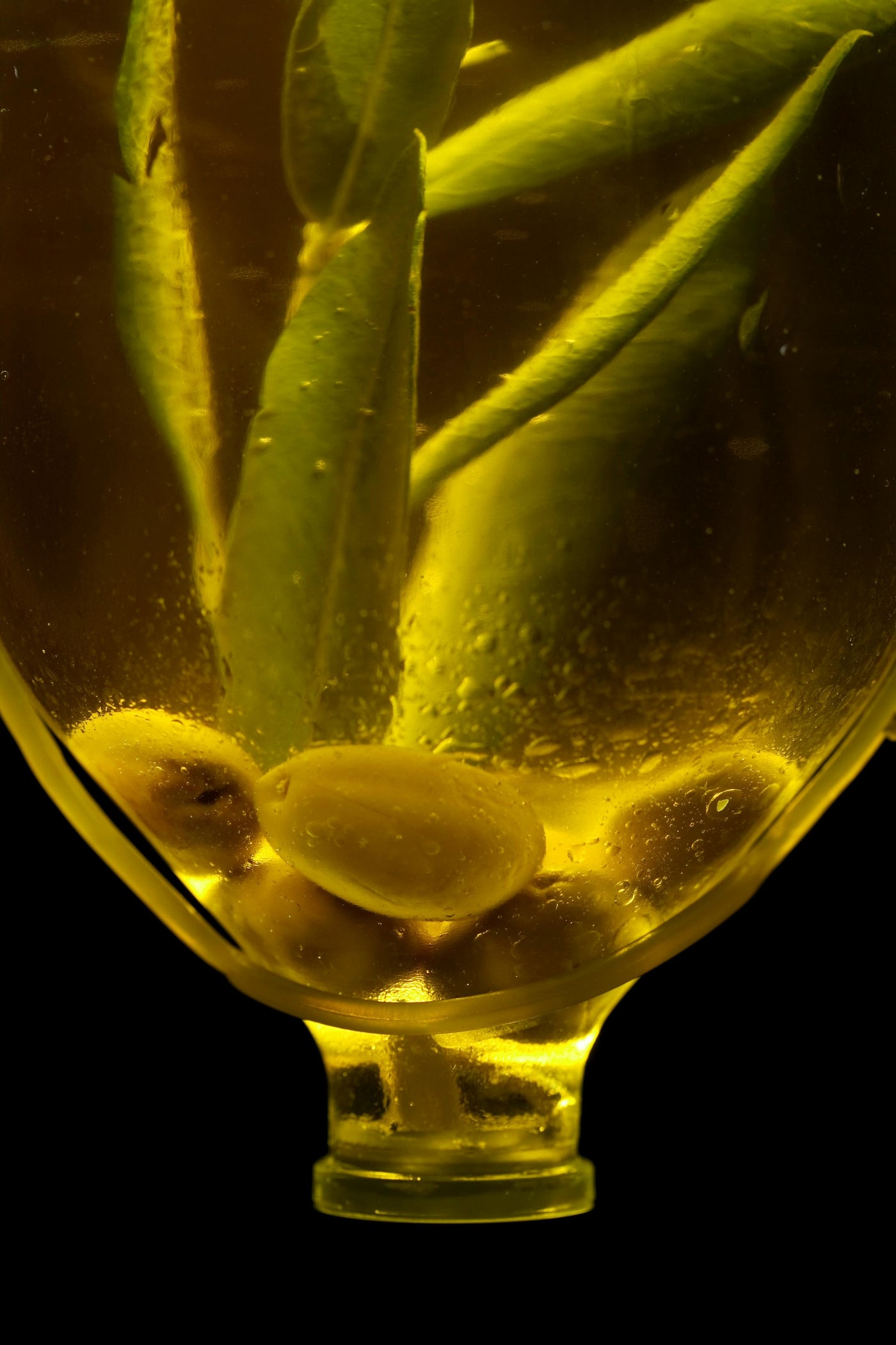 One ingredient.<br><em>Two thousand years.</em>