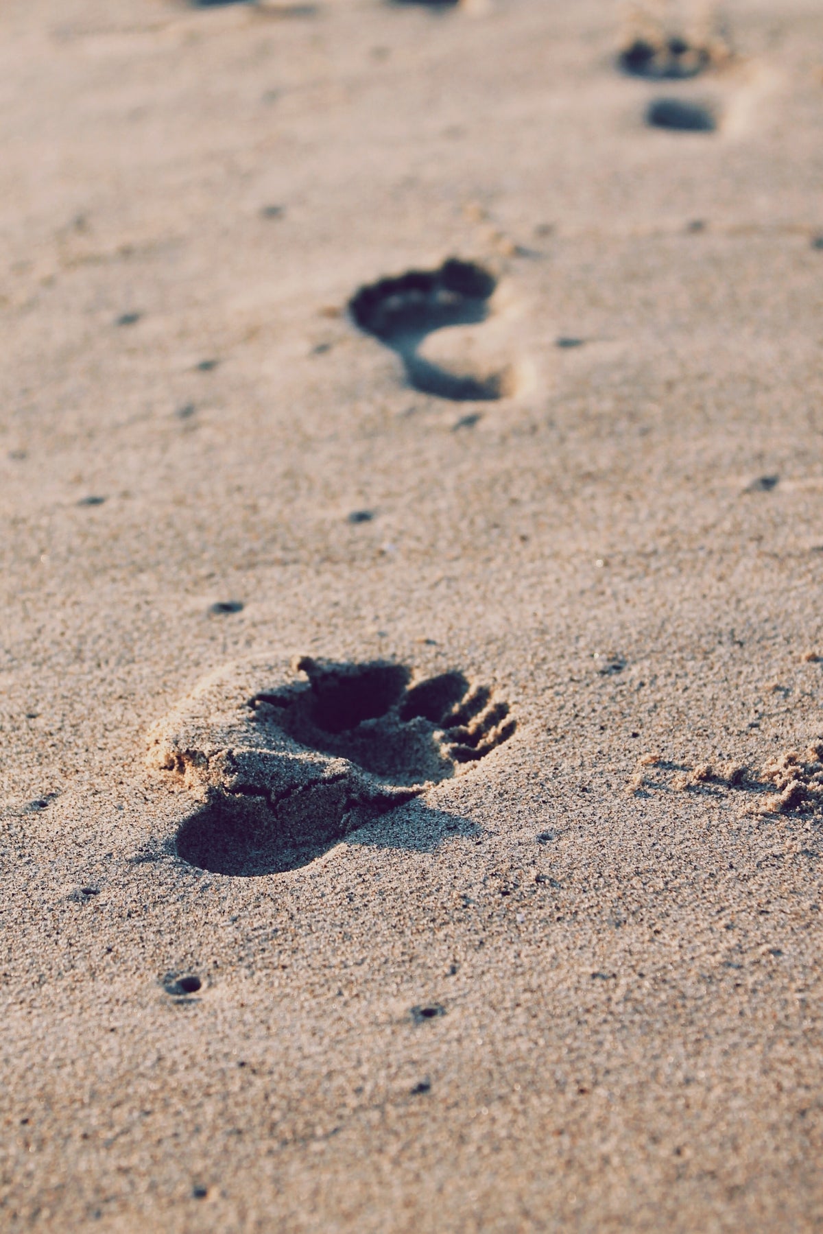 GROUNDING, A HEALING PRACTICE